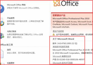 如何查看电脑上办公软件的版本